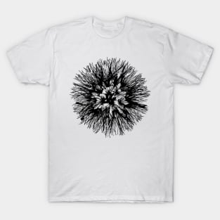 Make A Wish Dandelion Illustration In Black T-Shirt